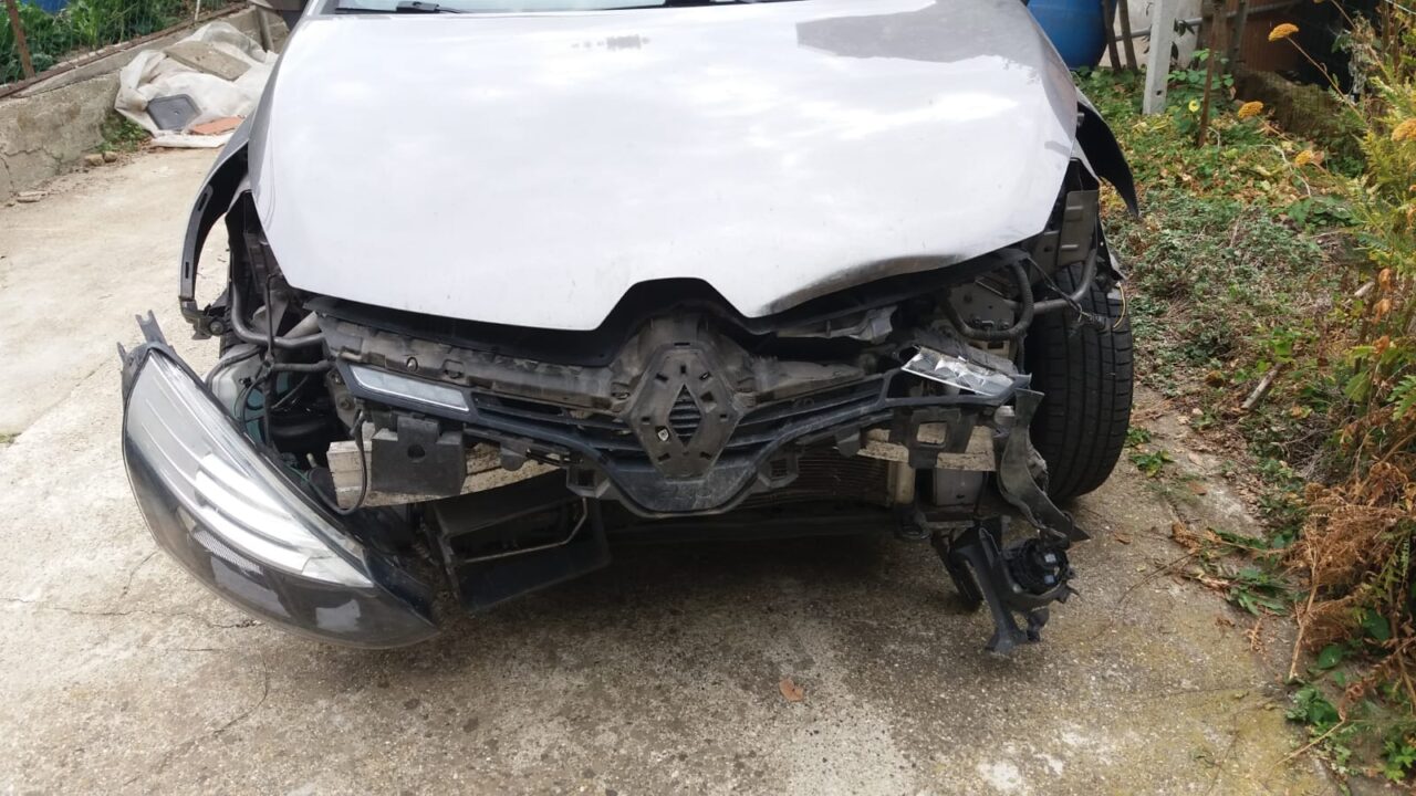 Auto finisce contro un cinghiale sulla ex590 della Collina
