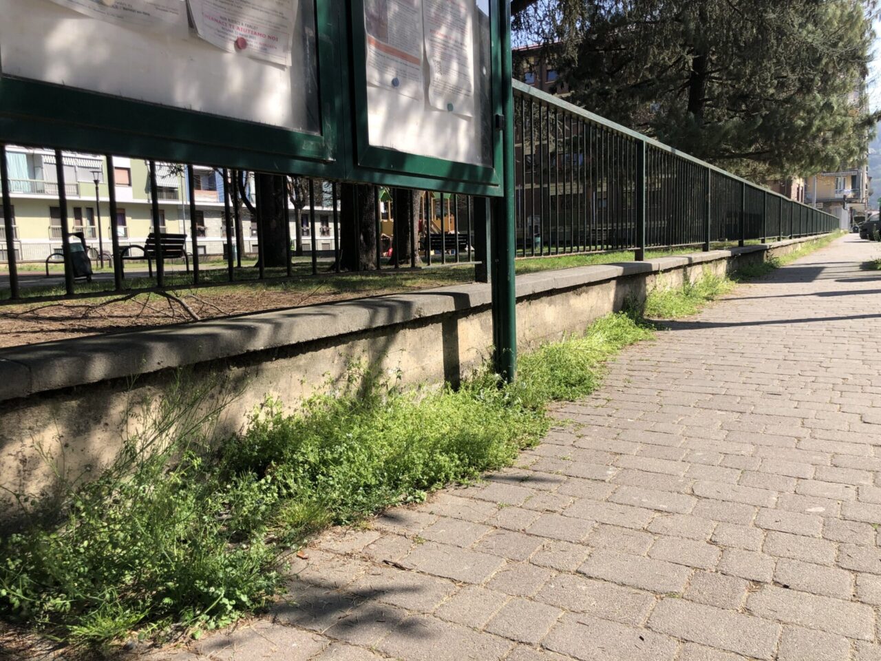 Bimbi giocano a calcio in via Po, multati dai vigili