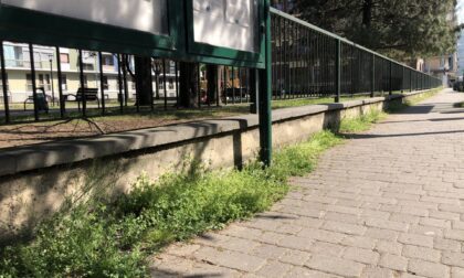 Bimbi giocano a calcio in via Po, multati dai vigili