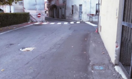 Rubano coni e cartelli stradali  in centro: «Segnalavano un pericolo»