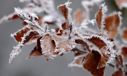 Nel weekend nubi e schiarite, ma temperature in calo | Meteo Piemonte
