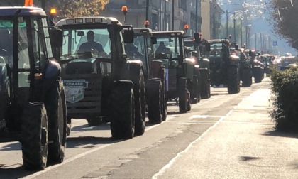 Emergenza cinghiali, 50 trattori per protestare a Chivasso FOTO e VIDEO