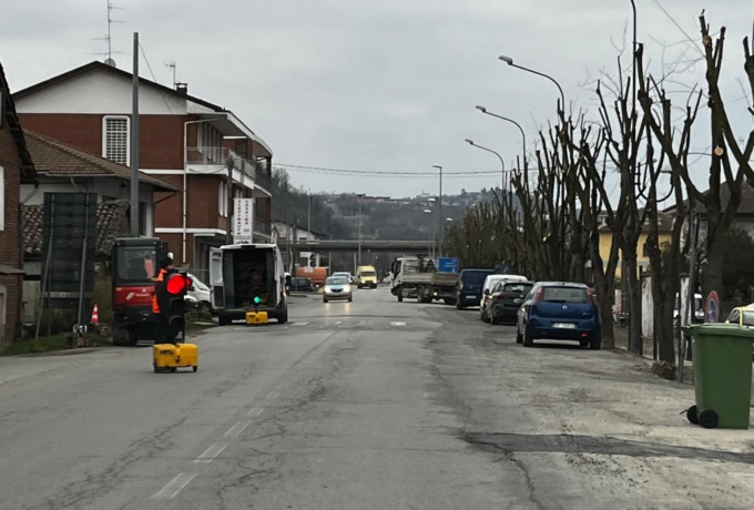 Tigli abbattuti, «E gli ambientalisti di sinistra?»