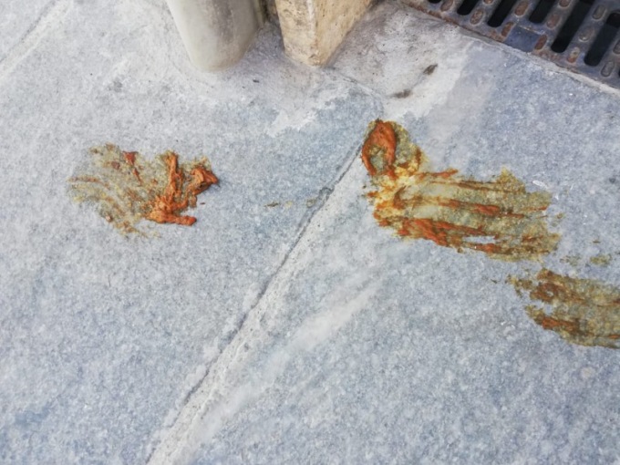 Cacche di cane vicino alla scuola
