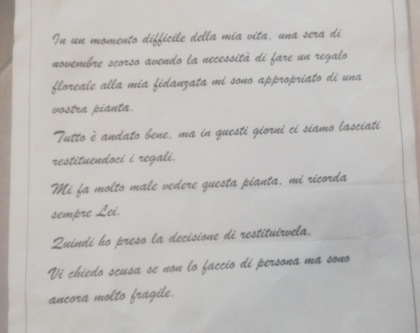 Ruba per amore una piantina da un locale e la restituisce dopo sei mesi: mi ha lasciato