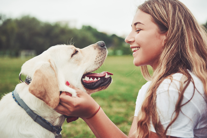 Crocchette: i migliori cibi da offrire al proprio cane