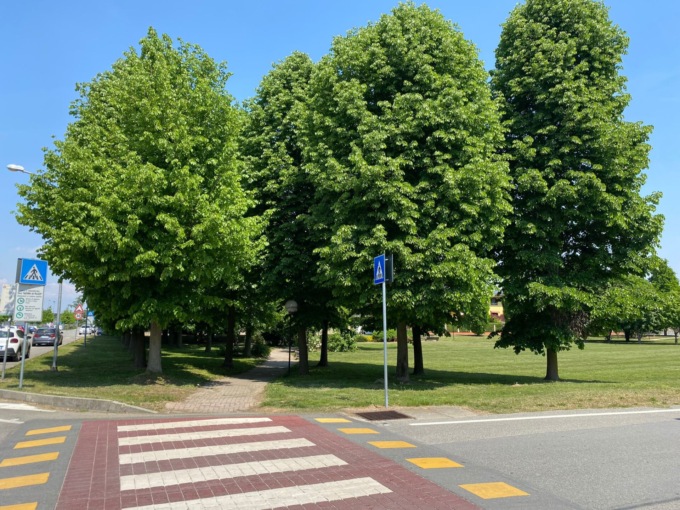 Un parco dedicato agli adolescenti