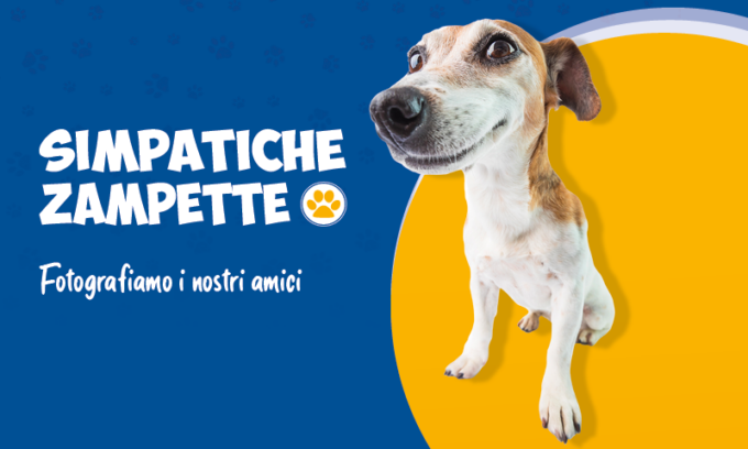 Fotografiamo i nostri amici animali