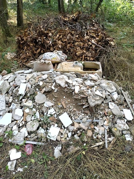 Vanno in gita al sito archeologico e trovano una montagna di rifiuti