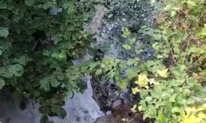 Sversamento di schiuma in un torrente