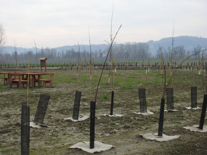 Foresta condivisa, si inaugurano nuove porzioni