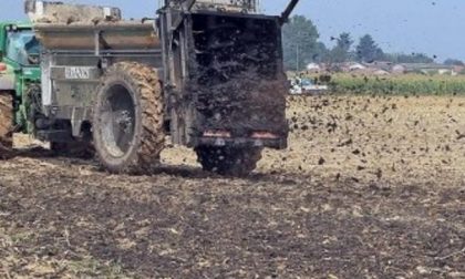 Il paese invaso dalla puzza: è tornato il problema