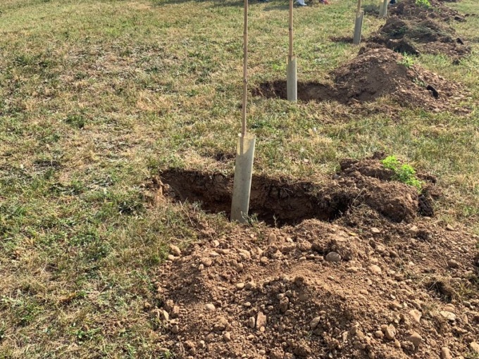 L’opposizione adesso vuole 500 nuove piante per creare verde