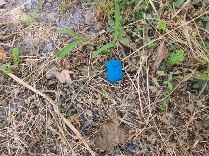 Bocconi avvelenati nel giardino del consigliere