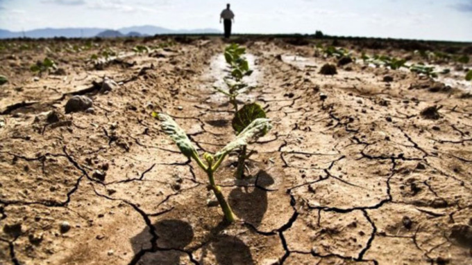 Crisi irrigua: buona parte dei raccolti compromessi