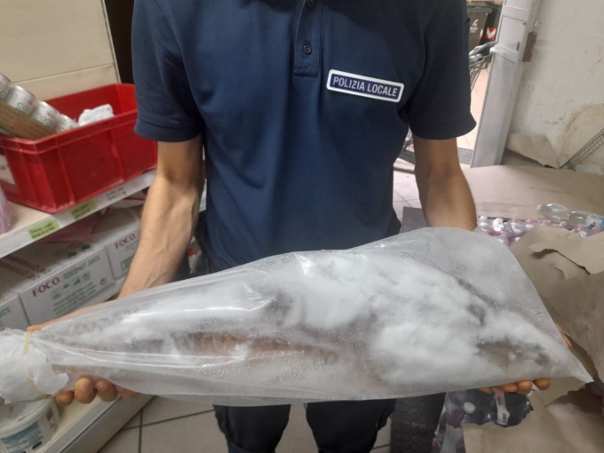 Ancora cibo mal conservato, sequestrati 242 chili di pesce LE FOTO