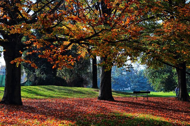 Musica a tutto volume al parco, blitz della polizia