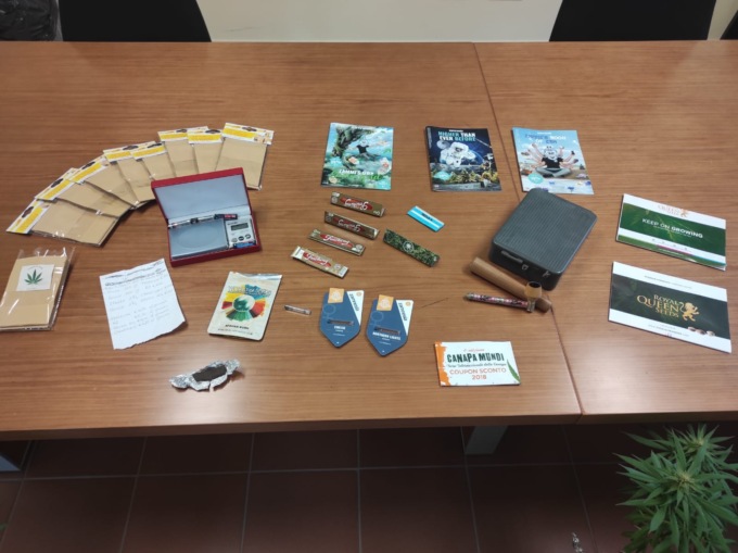 Nel garage coltivava cannabis, ragazzo denunciato