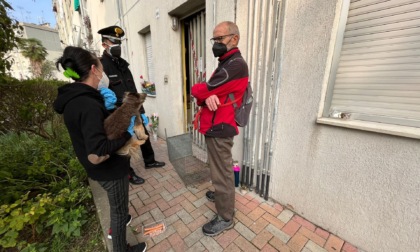 Omicidio di Pratoregio: il fratello di Giusy rinuncia al possesso di cani e gatti