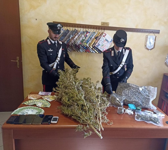 Coltivano e spacciano droga, due giovani arrestati IL VIDEO