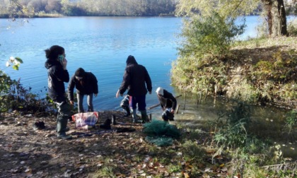 Massa di pesci nel Po, blitz degli animalisti VIDEO E FOTO