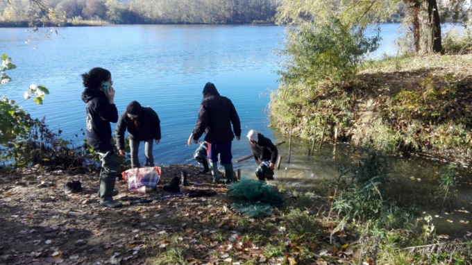 Massa di pesci nel Po, blitz degli animalisti VIDEO E FOTO