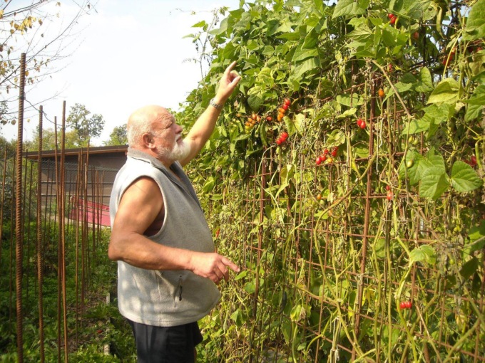 L’ultimo saluto a Ugo Meneghel, era stato agricoltore biologico