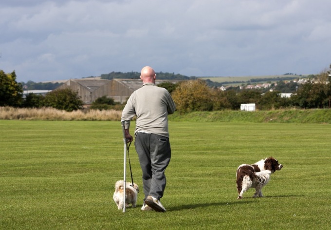 Dog Sitter, aperte le iscrizioni all’albo regionale
