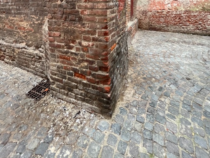 Via Torino, tra i colombi e le cacche dei cani non se ne può proprio più