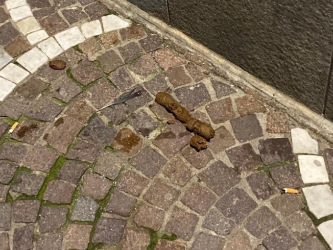 Che paese sporco, tra cacche e rifiuti