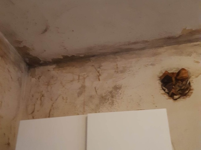 «Vivere in questo alloggio popolare è impossibile: c’è muffa ovunque»