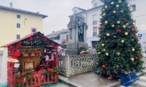 Prima della festa distruggono l’albero di Natale