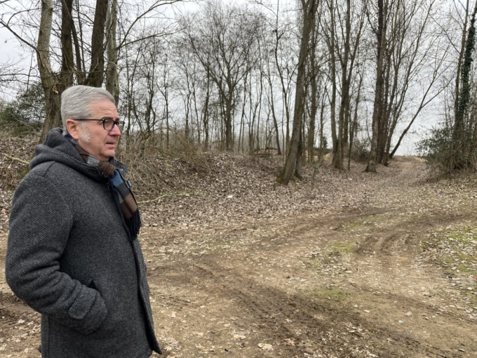 Po, il «polmone verde» della città