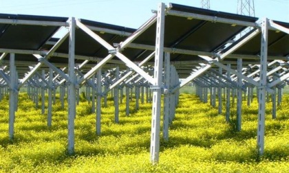 Fotovoltaico, un mare di pannelli su Pogliani