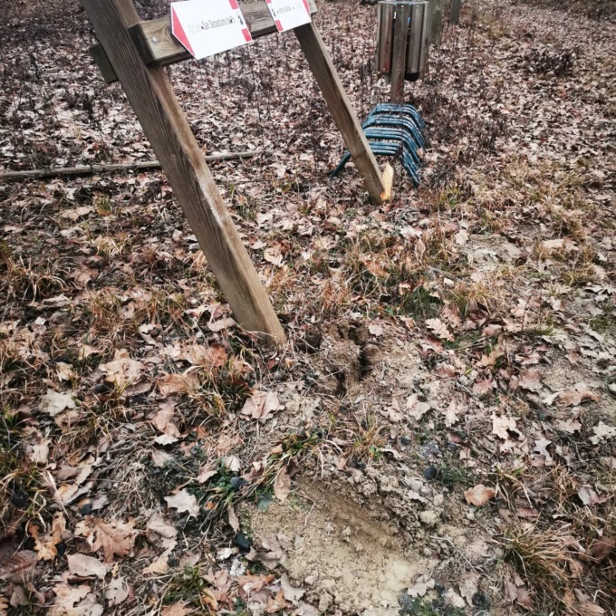 I vandali colpiscono il Lago degli Aironi