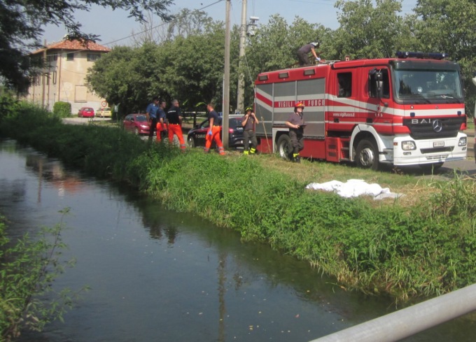 Cane cade nel Canale Cavour