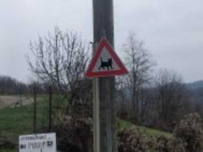 Arriva il cartello stradale «Attenzione ai gatti»