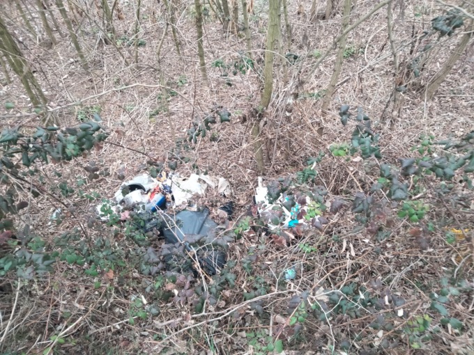 Tra i rifiuti anche ossa di animali