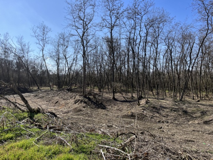 Parco del Po, un paradiso vero per gli amanti del verde