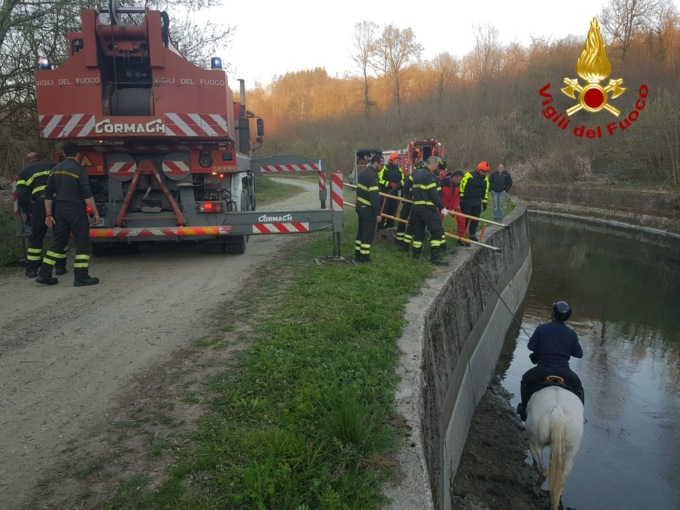 Cavallo cade nel canale, il VIDEO dei soccorsi