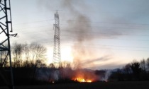 Incendio in un bosco a Rondissone