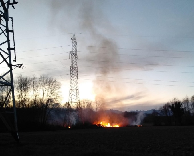 Incendio in un bosco a Rondissone