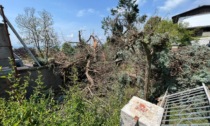 Una bomba d'acqua distrugge Caluso, I VIDEO dei danni