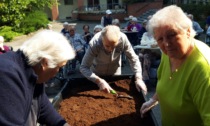 Orto Botanico alla Piccola Lourdes di Brandizzo