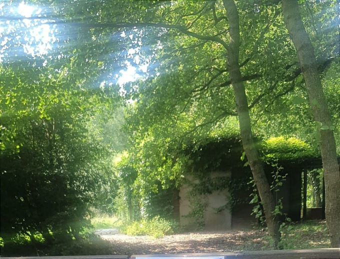 Che degrado nella zona del Centro visite e della palude