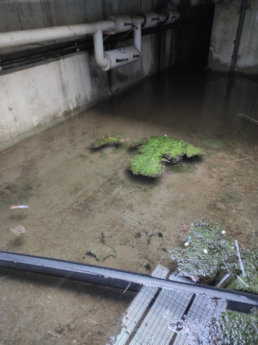 Tubo dell’acquedotto rotto, allagate le cantine a Chivasso