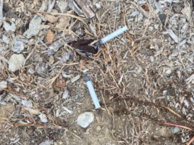 Siringhe abbandonate nel viale