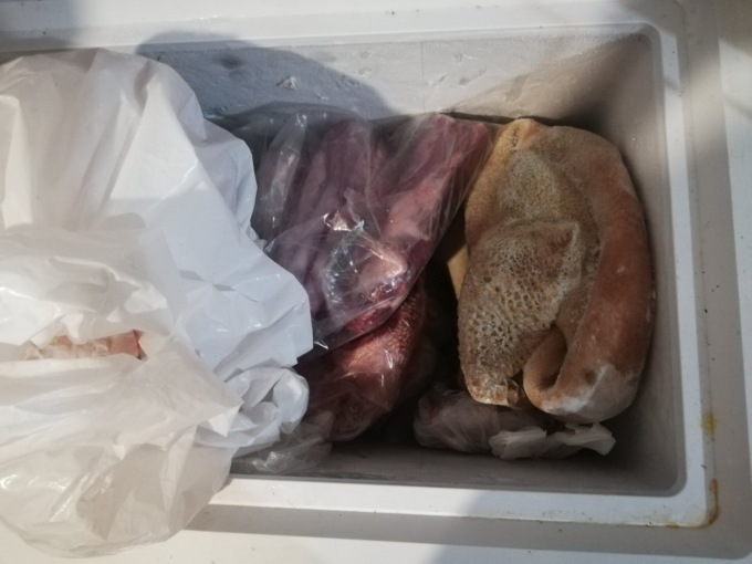 Macelleria gastronomia conserva male i cibi, attività sospesa