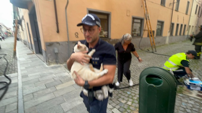Incendio in appartamento, animali salvati dai Vigili del Fuoco LE FOTO