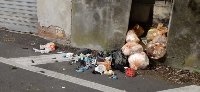Ragazzi ripresi mentre prendono a calci i sacchi dell’immondizia